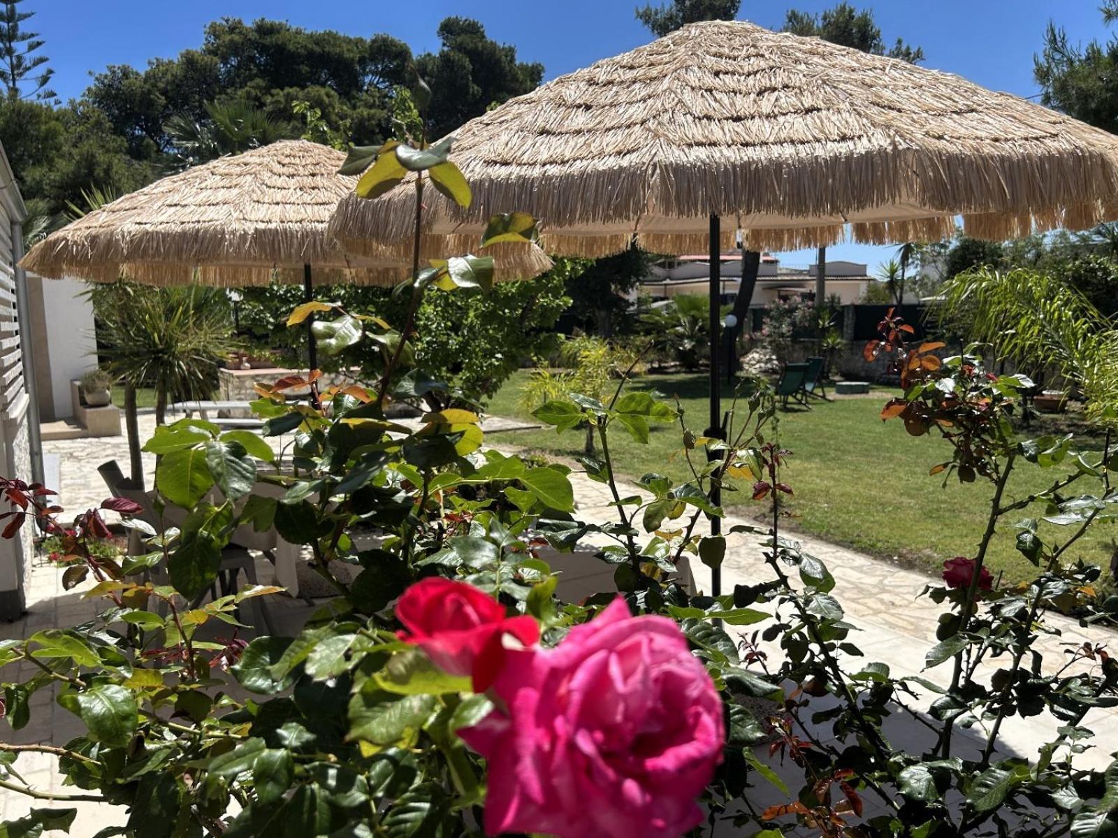 Villa Soleanna Residence Vieste Exterior photo